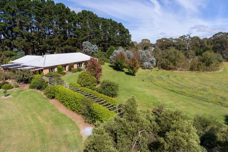 393 Shooters Hill Road, Oberon NSW 2787