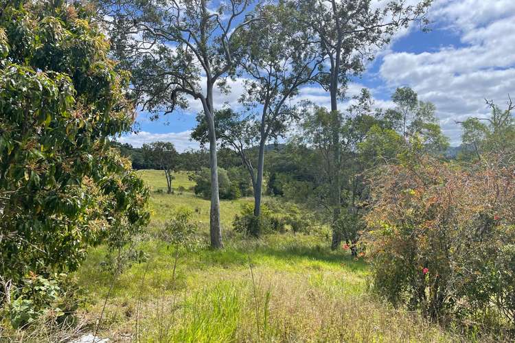 Main view of Homely house listing, 397 Speewah Road, Speewah QLD 4881