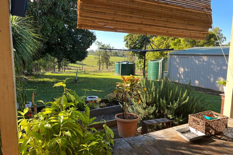 Main view of Homely house listing, 19 Federation Lane, Bauple QLD 4650