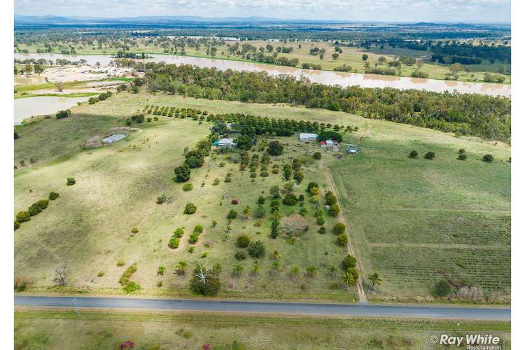 Main view of Homely house listing, 339 Six Mile Road, Pink Lily QLD 4702