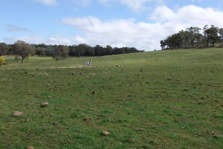 Main view of Homely ruralOther listing, Bald Ridge Road, Bald Ridge NSW 2795