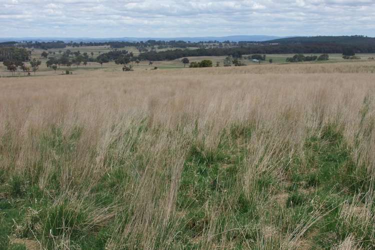 Main view of Homely ruralOther listing, 1965 Campbells River Road, Burraga NSW 2795