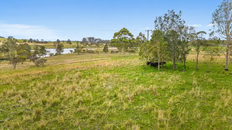 Third view of Homely rural property listing, 737 Warraba Road, The Branch NSW 2425