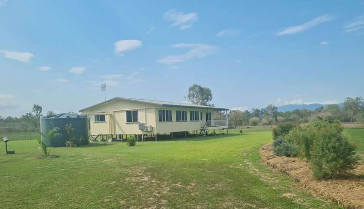 Fifth view of Homely acreageSemiRural listing, 115 Dingo Park Road, Woodstock QLD 4816