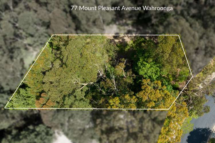 77 Mount Pleasant Avenue, Normanhurst NSW 2076