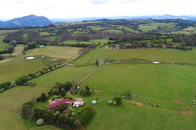 170 Maynards Plains Road, Dorrigo NSW 2453