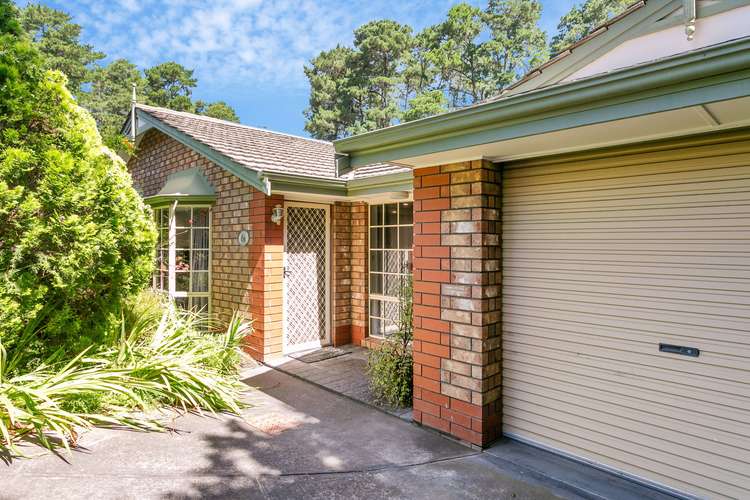 Main view of Homely house listing, 6a Greenleaf Court, Aberfoyle Park SA 5159