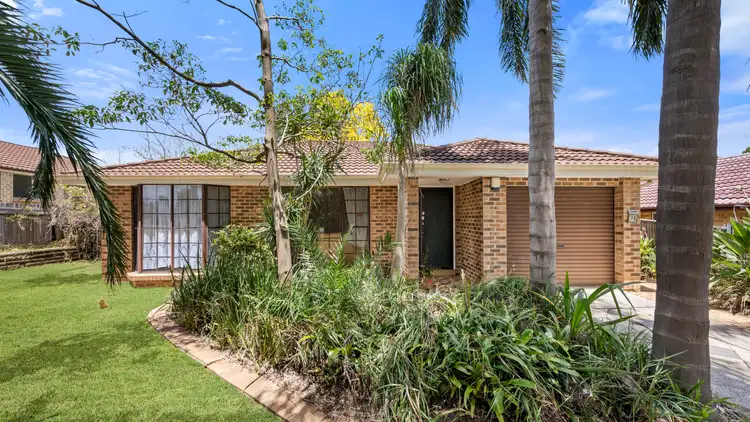 12 Astelia Street