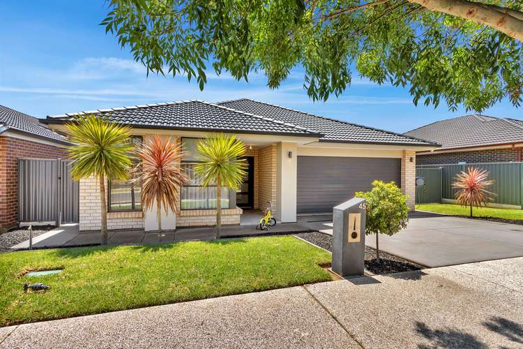 45 The Avenue, Blakeview SA 5114