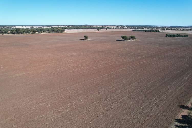 2417 Alleena Road, West Wyalong NSW 2671