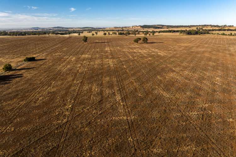 2204 Tooyal Road, Coolamon NSW 2701