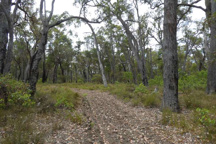 Lot 350 Muir Highway, Rocky Gully WA 6397