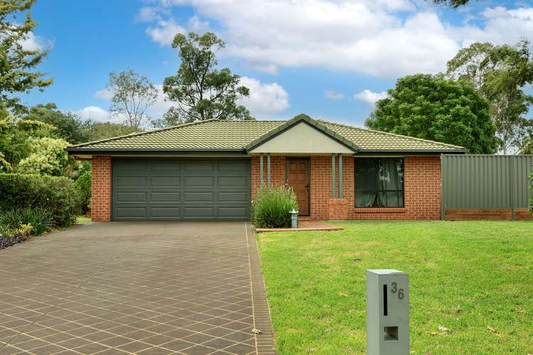 Main view of Homely house listing, 36 Palmer Drive, Highfields QLD 4352