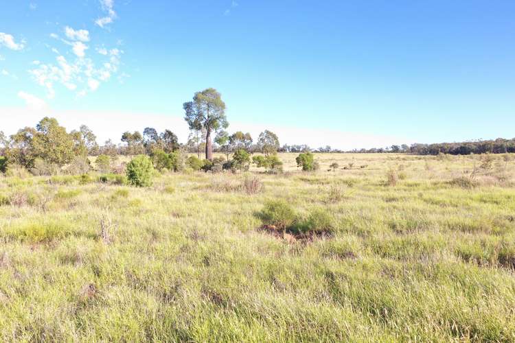 Main view of Homely ruralOther listing, 5273 Landsborough Highway, Clara Creek QLD 4468