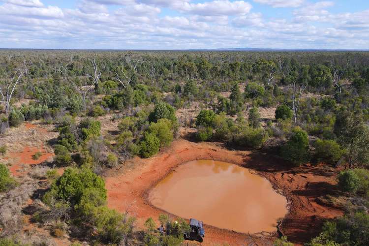 Part Mount Tinda Rosedale Road, Condobolin NSW 2877