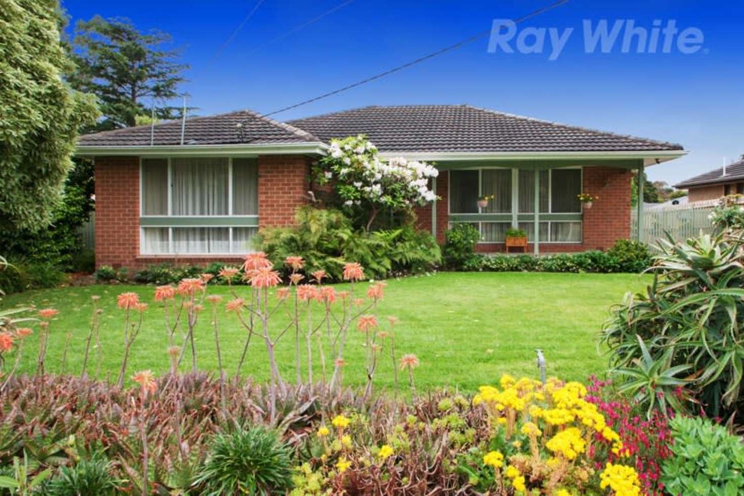 Main view of Homely house listing, 37 BARCLAY Avenue, Croydon VIC 3136