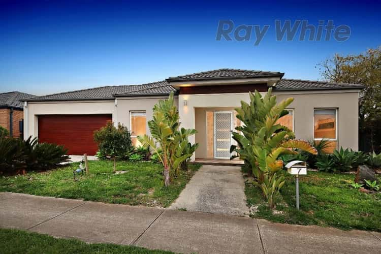 Main view of Homely house listing, 7 Tahlee Road, Tarneit VIC 3029