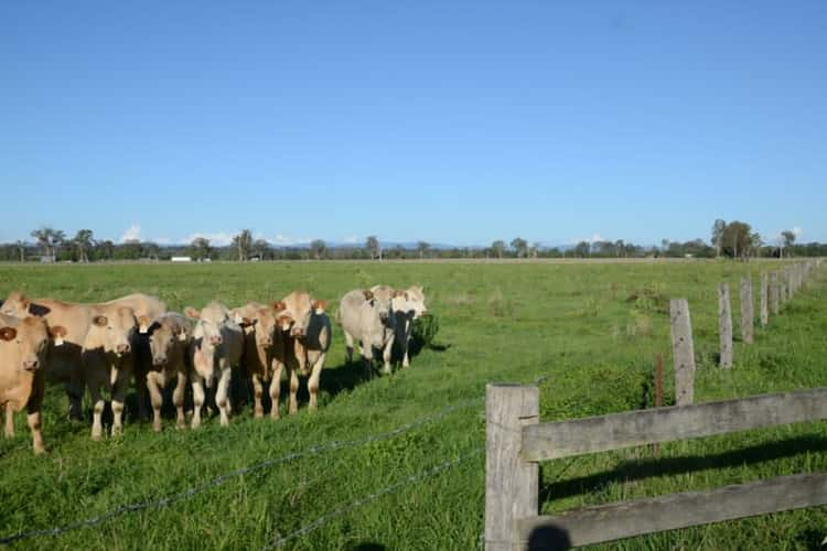 Second view of Homely livestock listing, 801 Rocky Gully Road, Atkinsons Dam QLD 4311