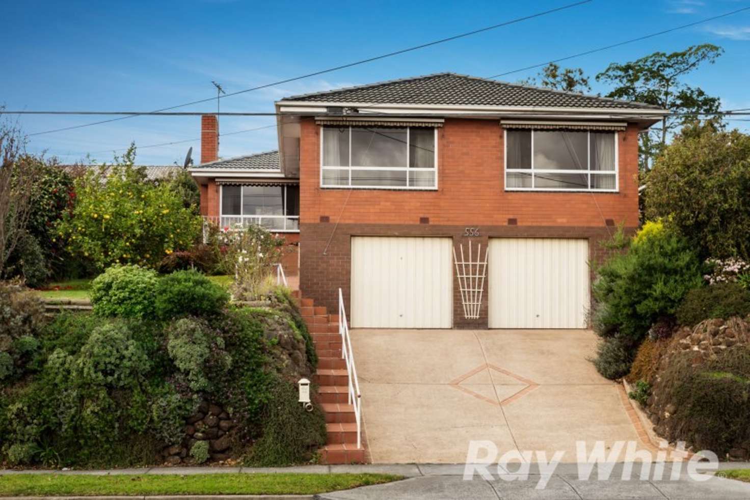 Main view of Homely house listing, 556 Elgar Road, Box Hill North VIC 3129