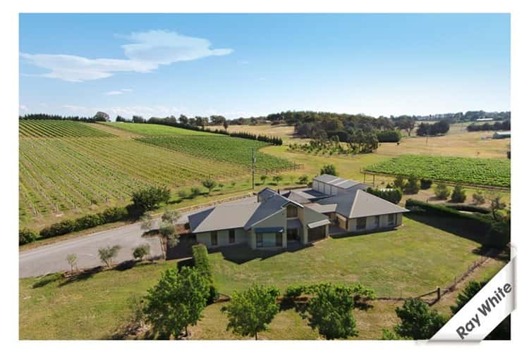 Third view of Homely acreageSemiRural listing, 1692 Murrumbateman Road, Gundaroo NSW 2620