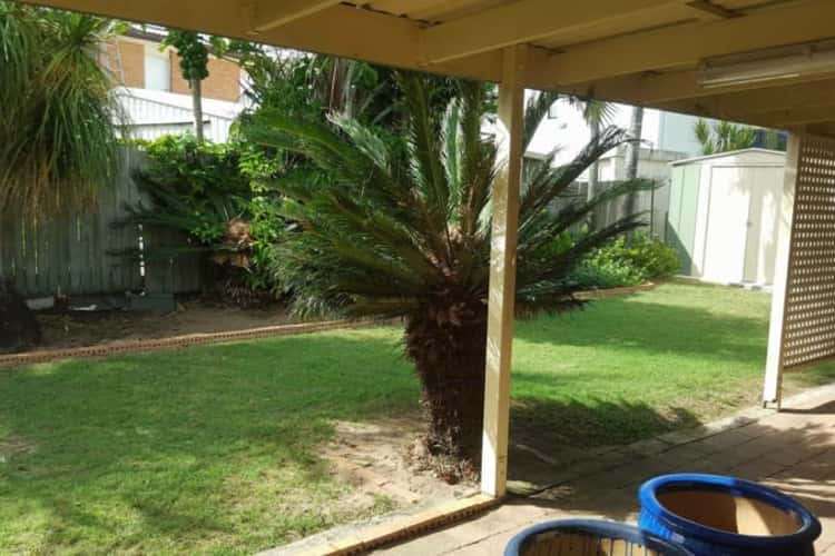 Fifth view of Homely house listing, 27 Yaringa Avenue, Buddina QLD 4575