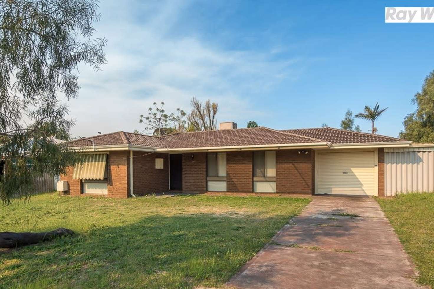 Main view of Homely house listing, 12 Silver Mallee Close, Camillo WA 6111