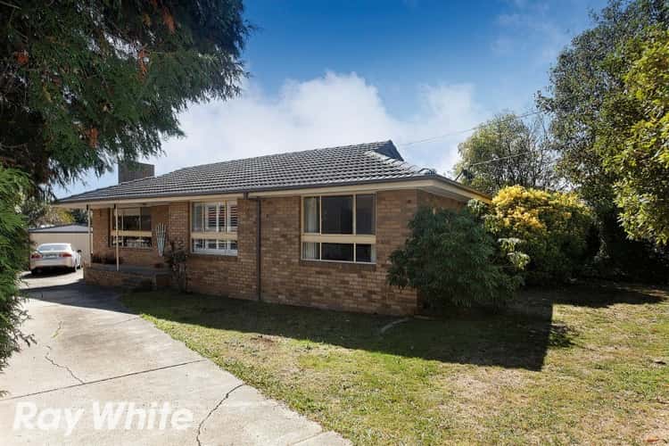 Main view of Homely house listing, 66 Sasses Avenue, Bayswater VIC 3153