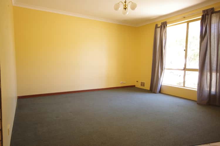 Third view of Homely house listing, 7 Nordman Way, Mirrabooka WA 6061