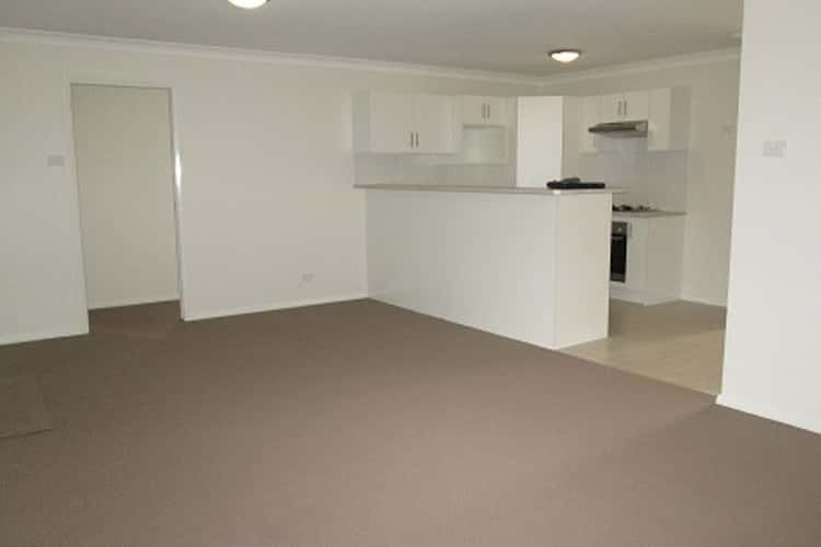 Second view of Homely other listing, 2/16 Sapphire Drive, Rutherford NSW 2320