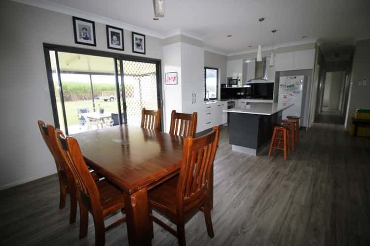 Sixth view of Homely acreageSemiRural listing, 2037 Abergowrie Road, Lannercost QLD 4850