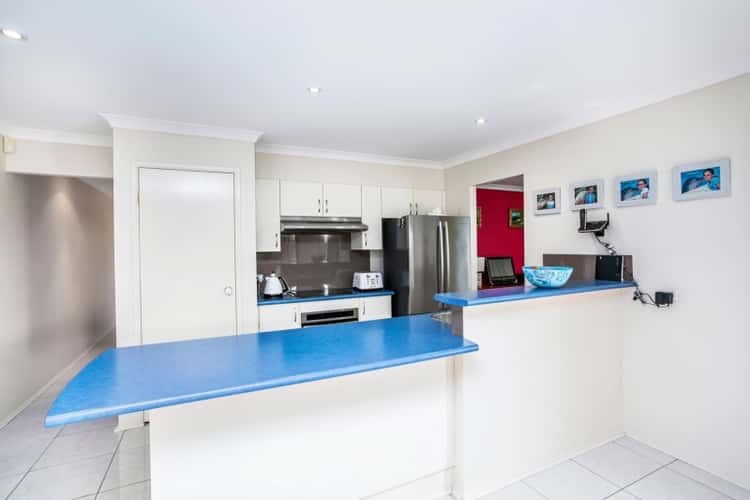 Fifth view of Homely house listing, 91 Daintree Drive, Albion Park NSW 2527