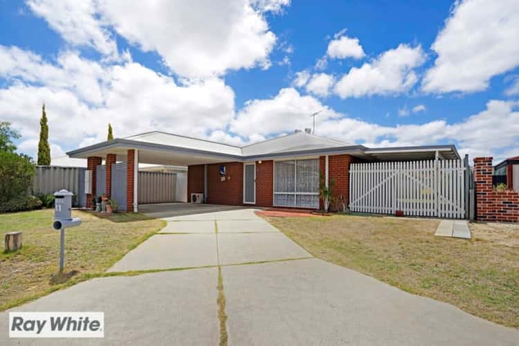 Main view of Homely house listing, 11 Wessells Elbow, Ballajura WA 6066