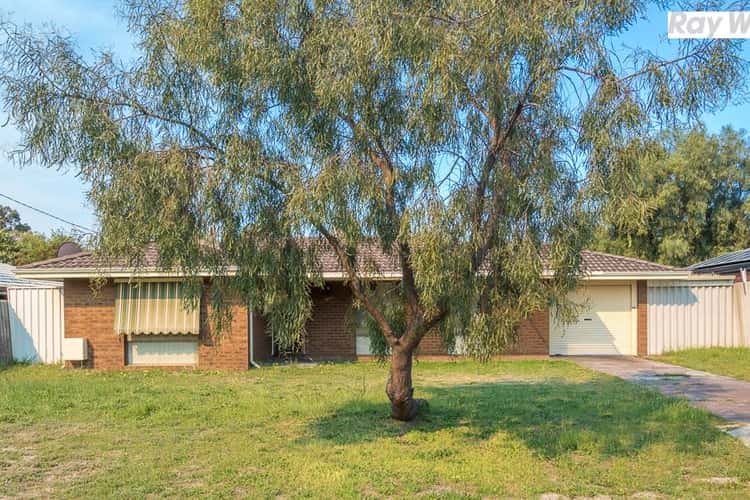 Fourth view of Homely house listing, 12 Silver Mallee Close, Camillo WA 6111