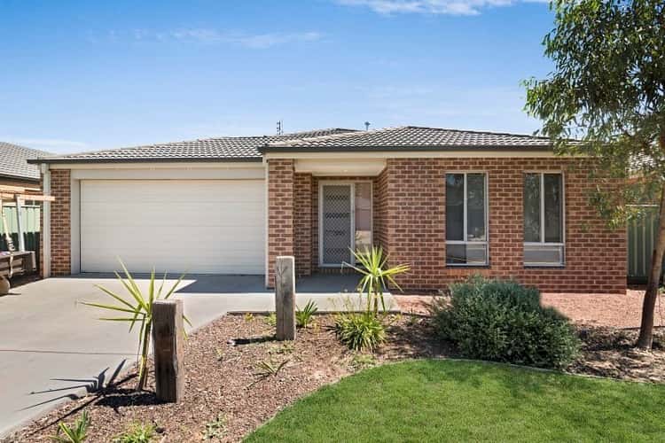 Main view of Homely house listing, 24 Caulfield Drive, Ascot VIC 3551