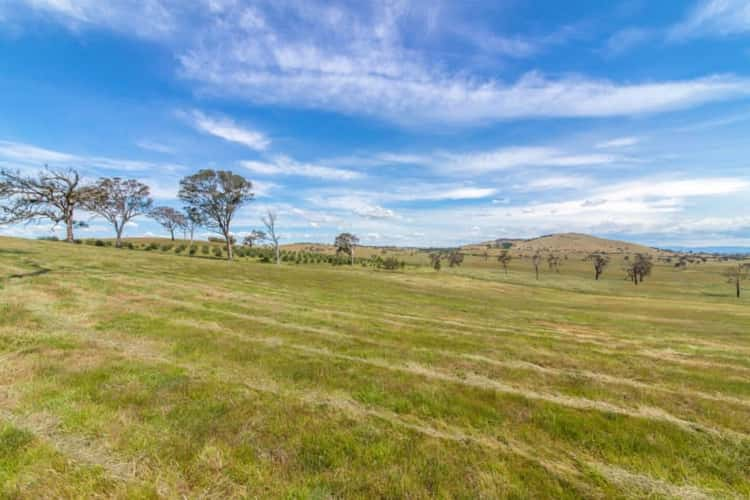 Fourth view of Homely acreageSemiRural listing, 40 Pinebank Lane, Springrange NSW 2618