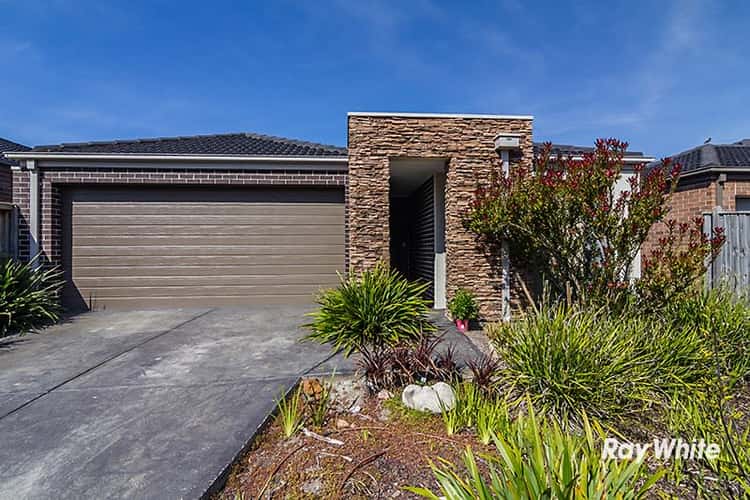 Main view of Homely house listing, 8 Islington Avenue, Cranbourne North VIC 3977
