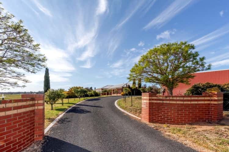 Third view of Homely livestock listing, 1578 Maffra-Briagolong Road, Bushy Park VIC 3860