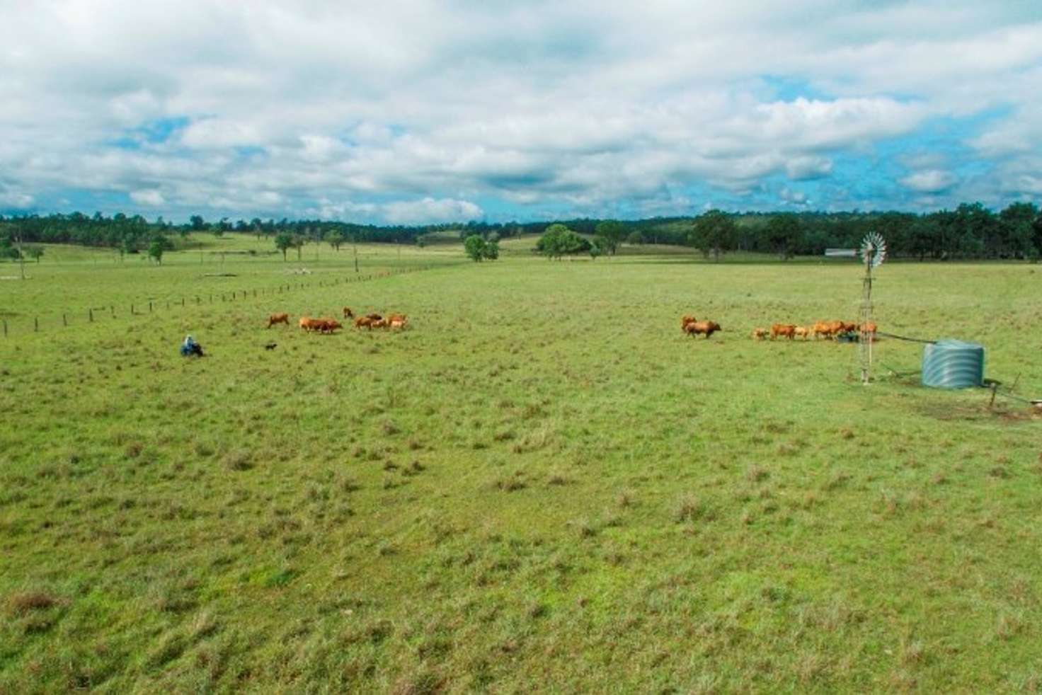 Main view of Homely acreageSemiRural listing, 125 Sippels Road, Grandchester QLD 4340