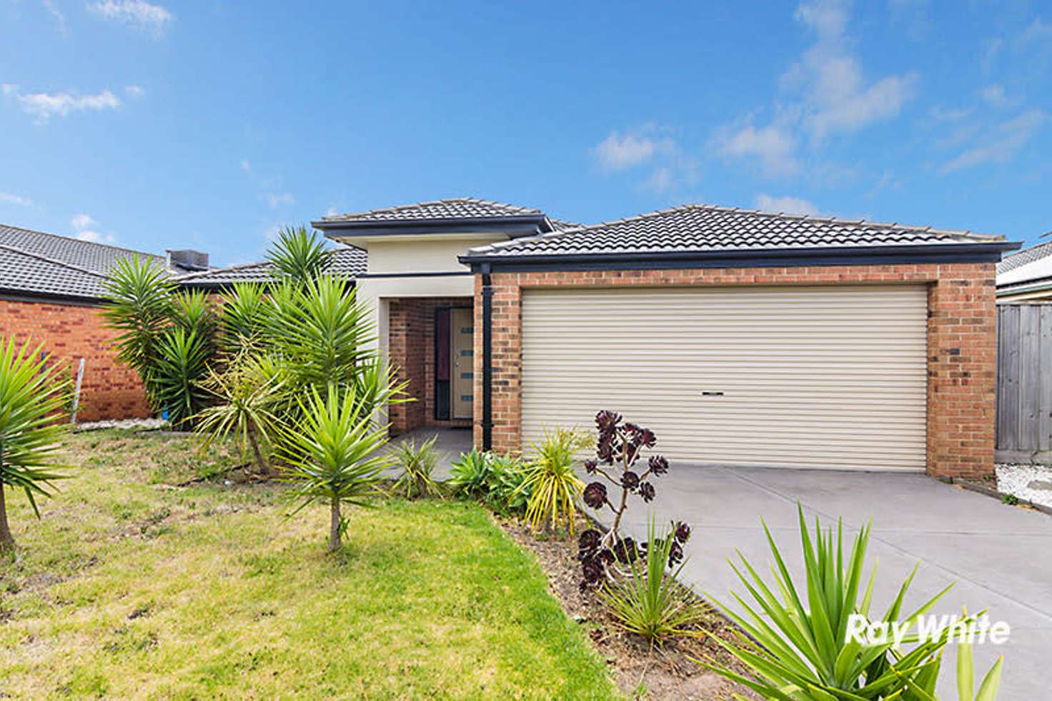 Main view of Homely house listing, 155 Rosebank Drive, Cranbourne North VIC 3977