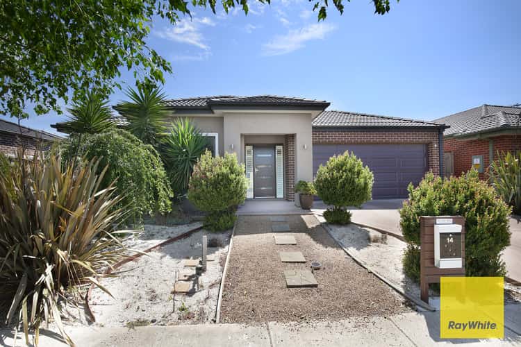 Main view of Homely house listing, 14 Cooktown Avenue, Point Cook VIC 3030
