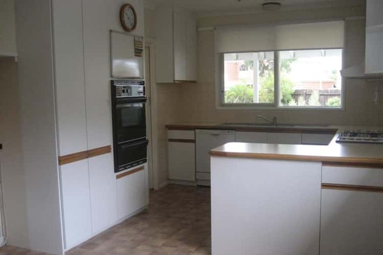 Second view of Homely house listing, 12 Camelia Grove, Cheltenham VIC 3192