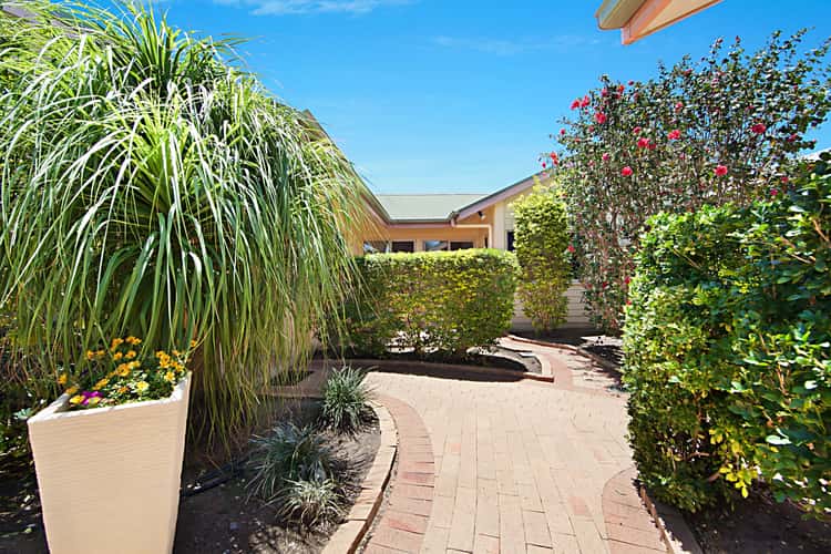 Second view of Homely house listing, 7 Pajingo Court, Annandale QLD 4814