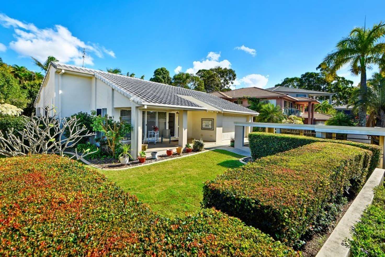 Main view of Homely house listing, 44 Wardoo Street, Ashmore QLD 4214
