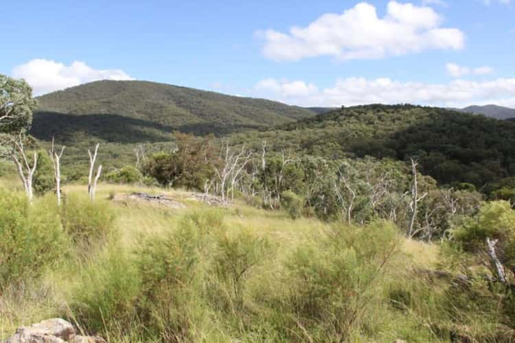 Seventh view of Homely ruralOther listing, Lot 1 Sawyers Gully Road, Tenterfield NSW 2372