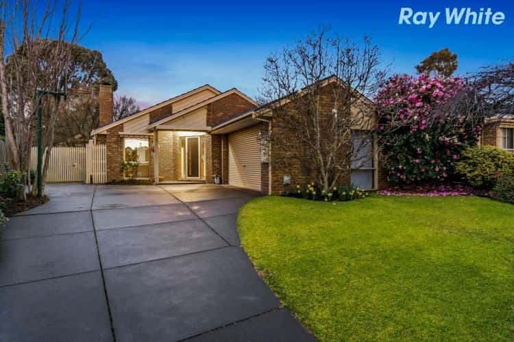 Main view of Homely house listing, 77 Mantung Crescent, Rowville VIC 3178