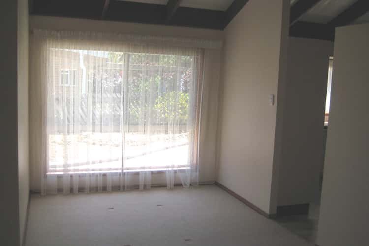 Fifth view of Homely house listing, 37 Iluka Avenue, Buddina QLD 4575