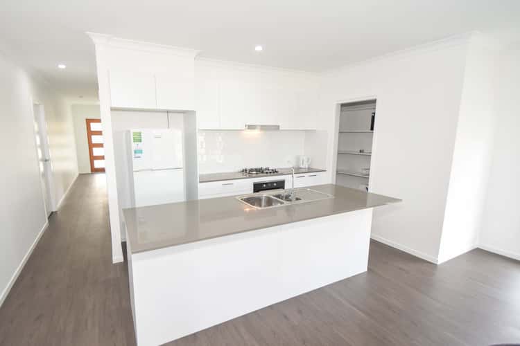 Second view of Homely house listing, 11 Egret Place, Bli Bli QLD 4560