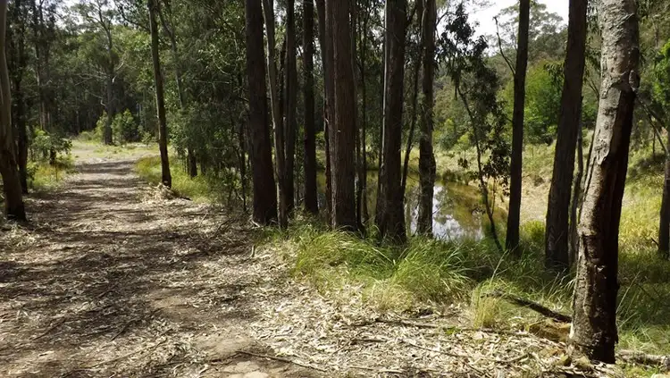 Seventh view of Homely rural property listing, 270 Cassels Road, Singleton NSW 2330