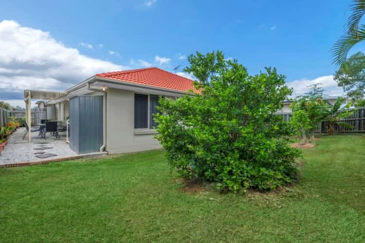 Second view of Homely house listing, 40 Ray Street, Carseldine QLD 4034