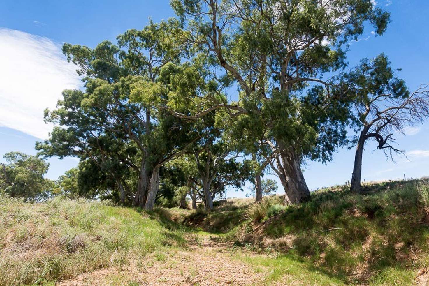 Main view of Homely residentialLand listing, 2284 Ridley Road, Angas Valley SA 5238